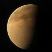 Kepler-1242 b thumbnail